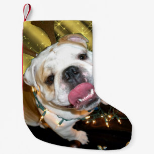 English bulldog Christmas stocking