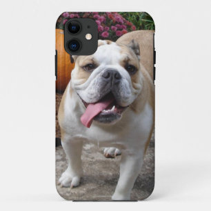 English Bulldog Cute Funny iPhone 5 covers cases