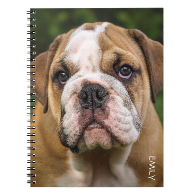 English Bulldog Dog Personalised Notebook (Front)