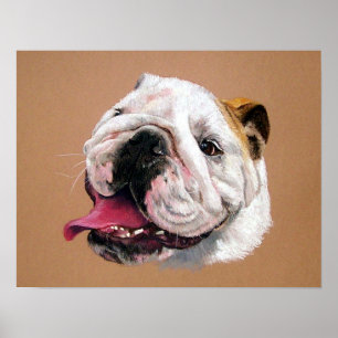 English Bulldog Dog Portrait Poster Print