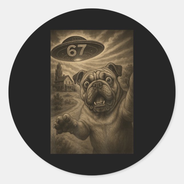 English Bulldog Dog Selfie 67 Meme Six Seven Funny Classic Round Sticker (Front)