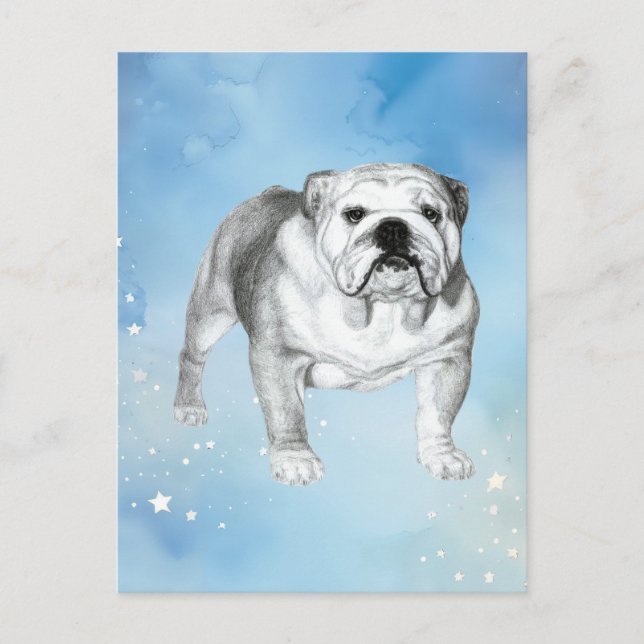 English Bulldog drawing Postcard (Front)