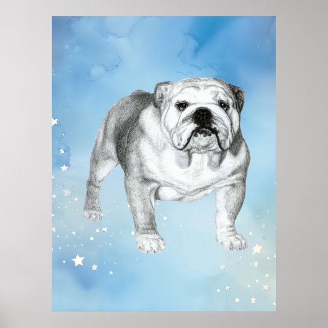 English Bulldog drawing Poster (Front)