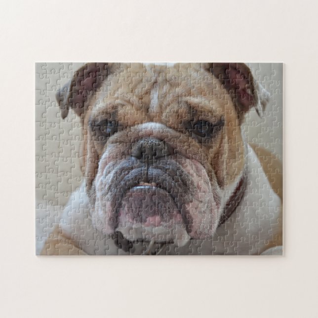 English Bulldog Face Jigsaw Puzzle (Horizontal)