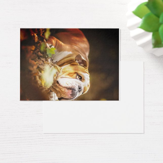 English Bulldog Forest Photo (Desk)