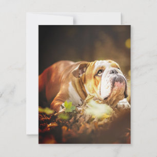 English Bulldog Forest Photo Invitation