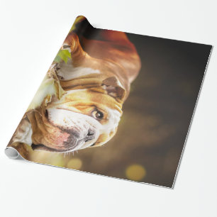 English Bulldog Forest Photo Wrapping Paper