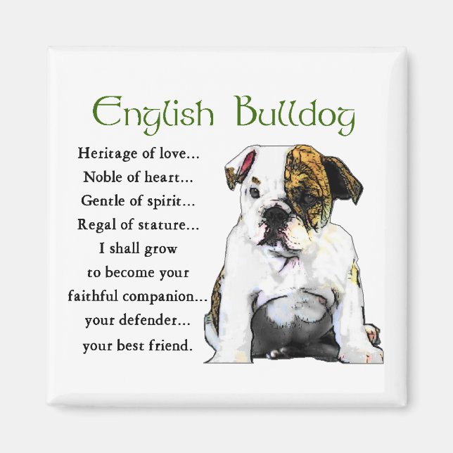English Bulldog Gifts Magnet (Front)