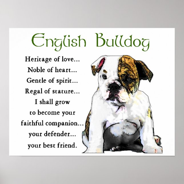 English Bulldog Gifts Poster (Front)