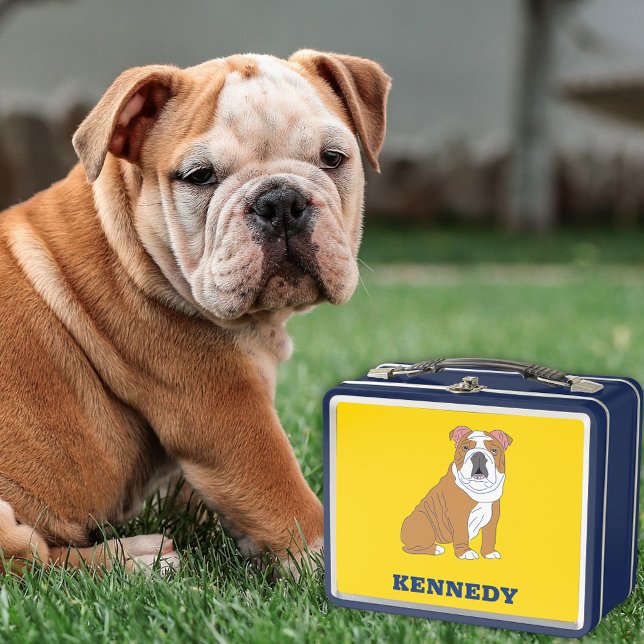 English Bulldog Illustration Personalised Metal Lunch Box (Creator Uploaded)
