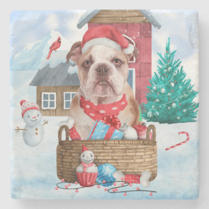 English Bulldog In snow Christmas Dog House Stone Coaster