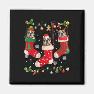 English Bulldog In Sock Christmas Santa X-mas Dog Magnet