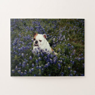 English Bulldog in Texas Bluebonnets Puzzle