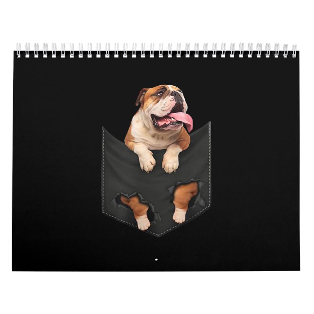 English Bulldog In Your Pocket  Dogs Lovers Calendar (Cover)
