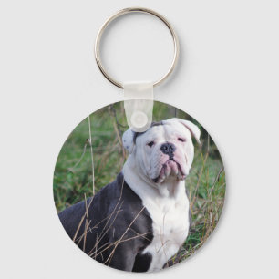 English Bulldog Key Ring