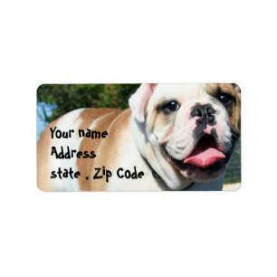 English bulldog label