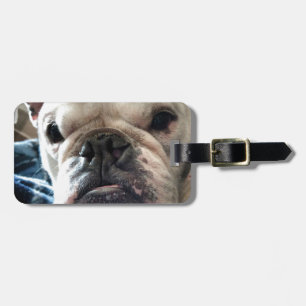 English Bulldog Luggage Tag