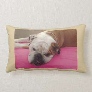 English Bulldog Lumbar Cushion
