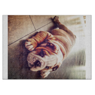 English Bulldog Lying Dog   Dog Photo Cutting Board