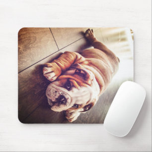 English Bulldog Lying Dog Dog Photo Mouse Pad