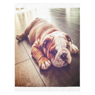 English Bulldog Lying Dog Dog Photo Tablecloth