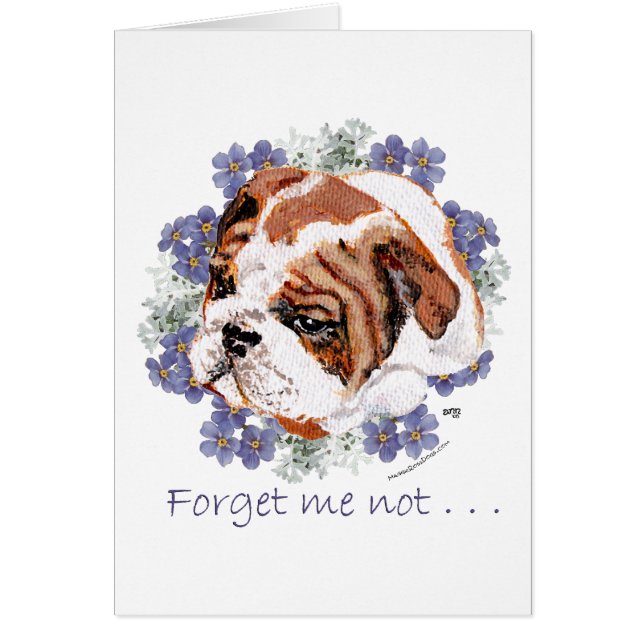 English Bulldog Memories (Front)
