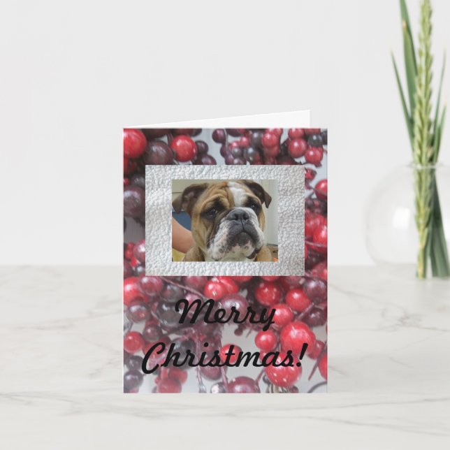 English bulldog Merry Christmas cards, cute! Holiday Card (Front)