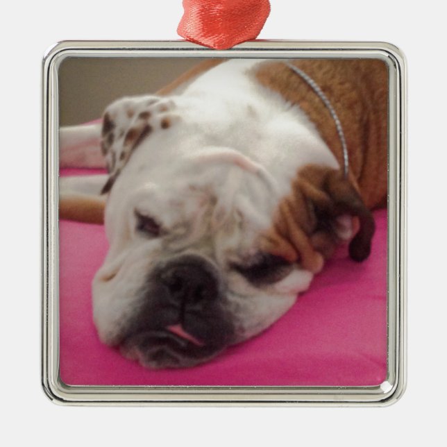English Bulldog Metal Ornament (Front)