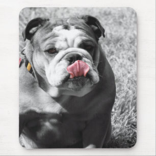 english bulldog mouse pad