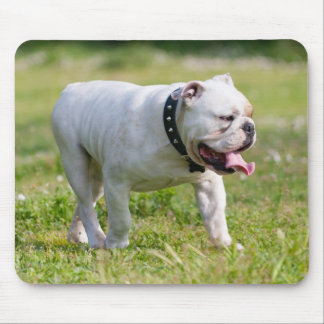 English Bulldog Mouse Pad