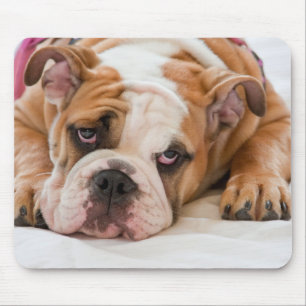 English Bulldog Mouse Pad