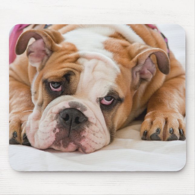 English Bulldog Mouse Pad (Front)