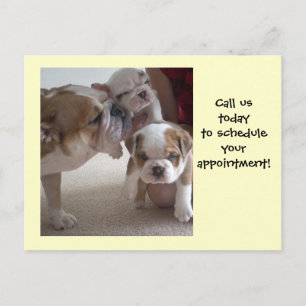 English Bulldog Mum &Pups postcards shot reminder