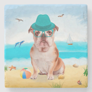 English Bulldog on Beach Stone Coaster