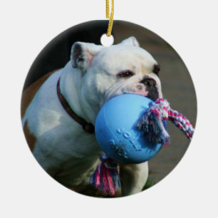 English bulldog ornament