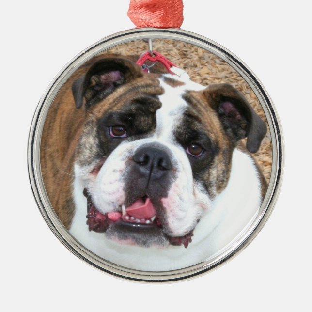 English bulldog ornament (Front)