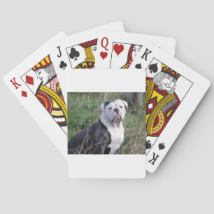 English Bulldog Playing Cards