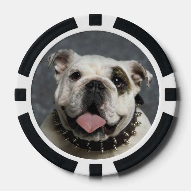English Bulldog Poker Chips (Front)
