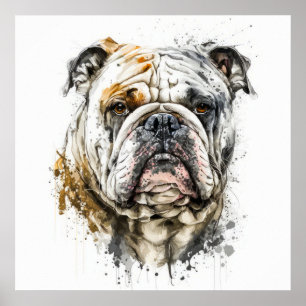 English Bulldog Portrait Animal Painting Wildlife  Poster