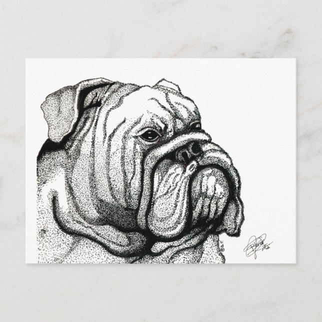 ENGLISH BULLDOG POSTCARD (Front)