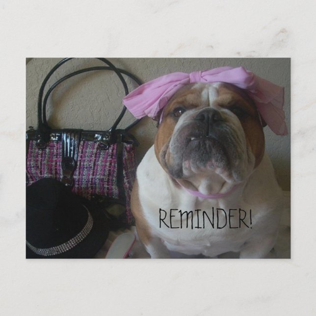 ENGLISH BULLDOG POSTCARD REMINDER (Front)