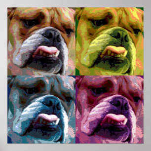 English bulldog poster