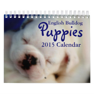 English Bulldog Puppies 2015 Calendar