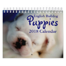 English Bulldog Puppies 2018 Calendar