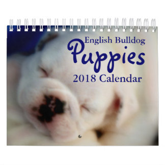 English Bulldog Puppies 2018 Calendar