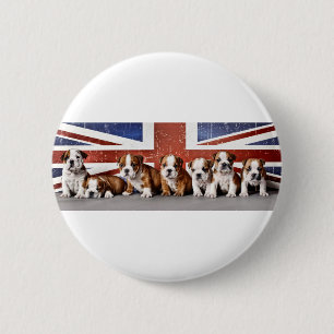 English bulldog puppies 6 cm round badge