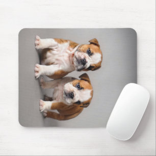 English Bulldog Puppies Couple Cute Bulldog Mouse Pad