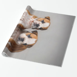 English Bulldog Puppies   Couple Cute Bulldog Wrapping Paper