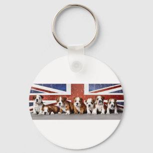 English bulldog puppies key ring