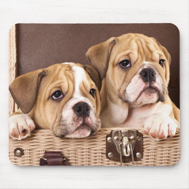 English Bulldog Puppies Mousepad (Front)